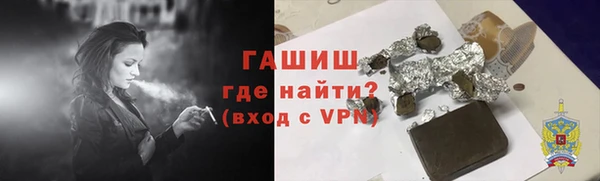 мдпв Краснослободск