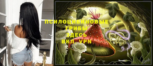 хмурый Корсаков