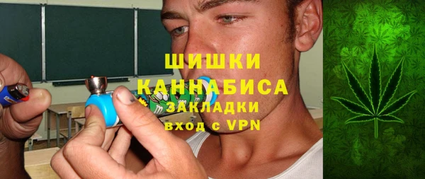 мдпв Краснослободск