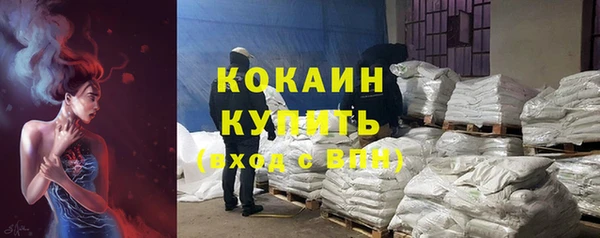 мдпв Краснослободск