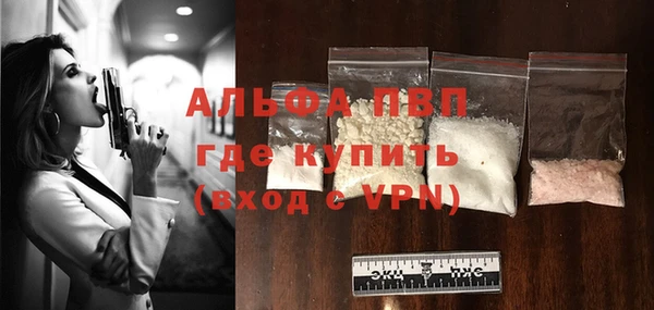 мдпв Краснослободск