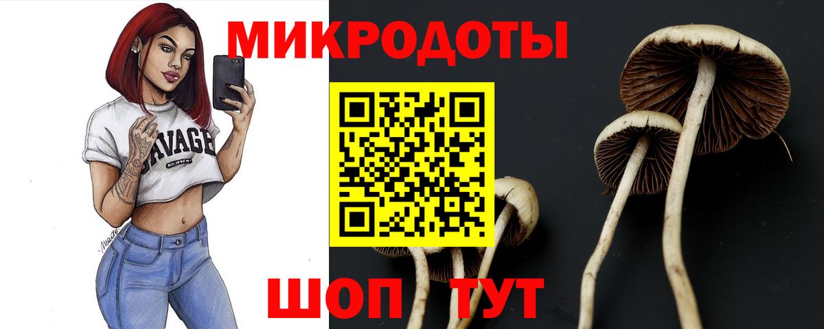 Псилоцибиновые грибы GOLDEN TEACHER Минусинск